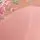 Elomi: Aerith Underwired Plunge Bra Rose - Image 6