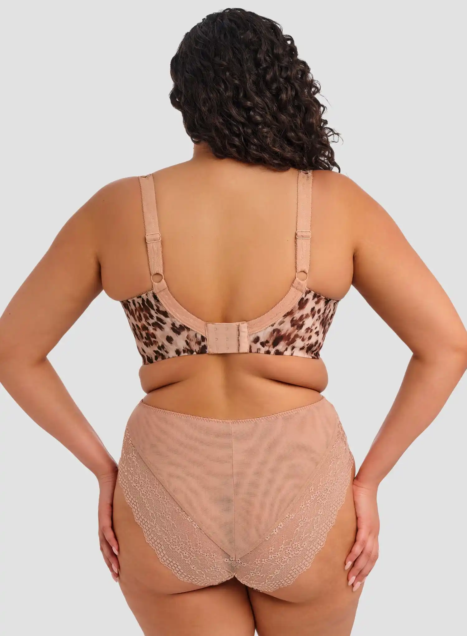 Elomi: Lucie High Leg Brief Wildcat - Image 3