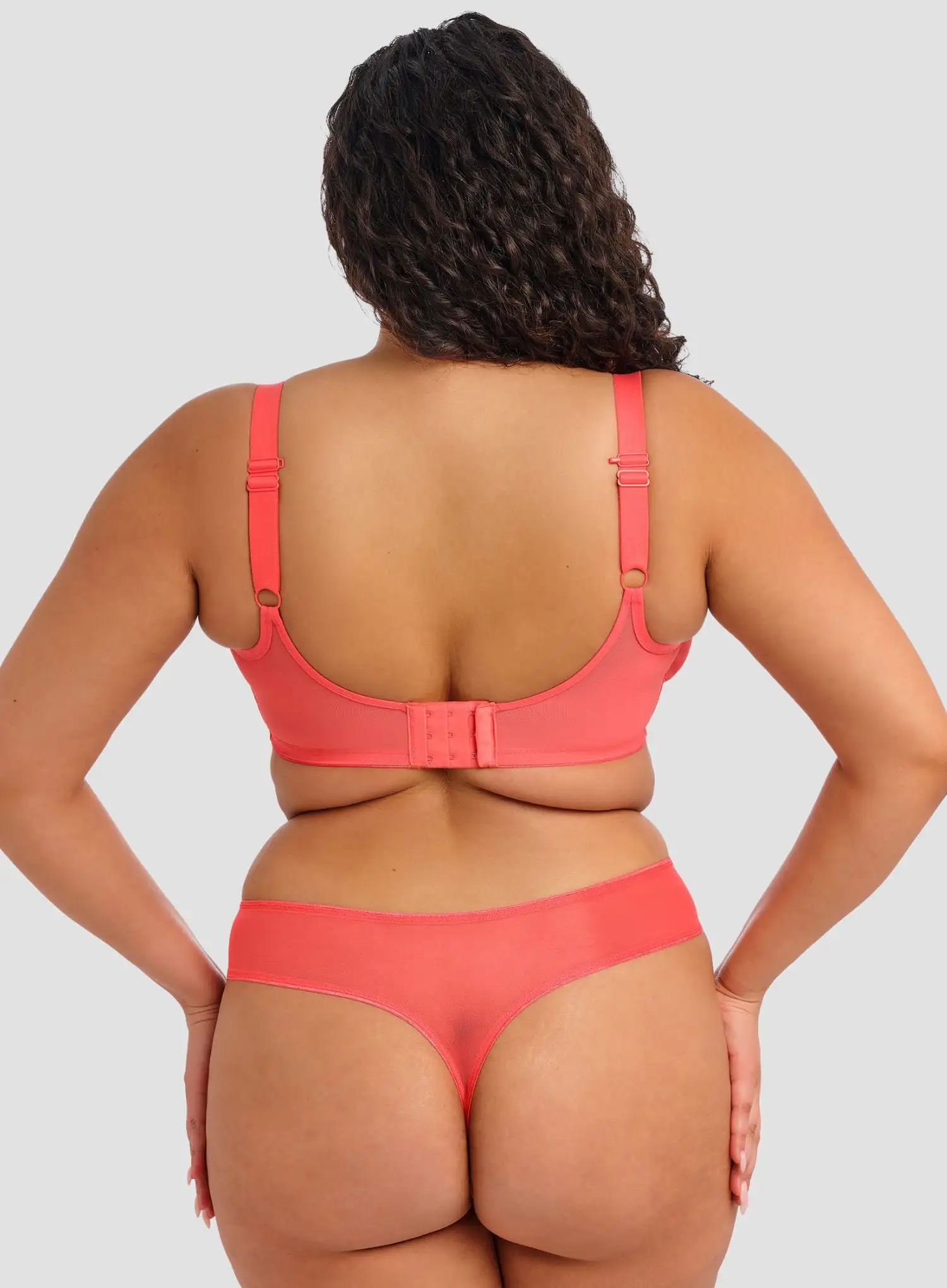 Elomi: Matilda Thong Sunset - Image 2