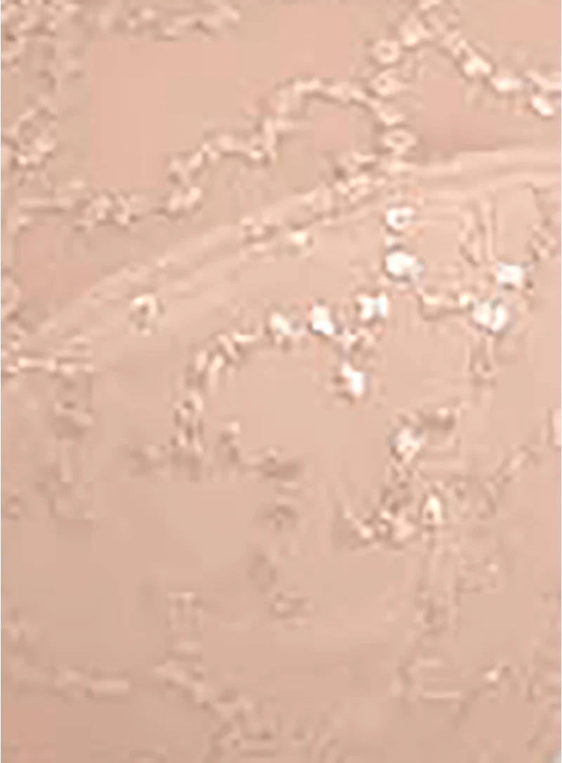 Fantasie: Ana Rebecca Moulded Spacer Full Cup Bra Natural Beige - Image 5