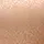 Fantasie: Demure Underwired Moulded Non Padded Bra Natural Beige - Image 5