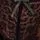 Freya: Freya Fancies Brazilian Black - Image 4
