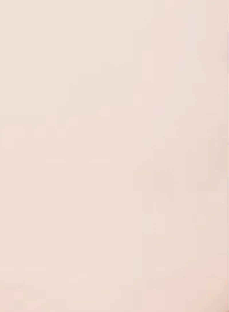 Marie Jo: Color Studio Lace High Waisted Brief Pearl Pink - Image 5