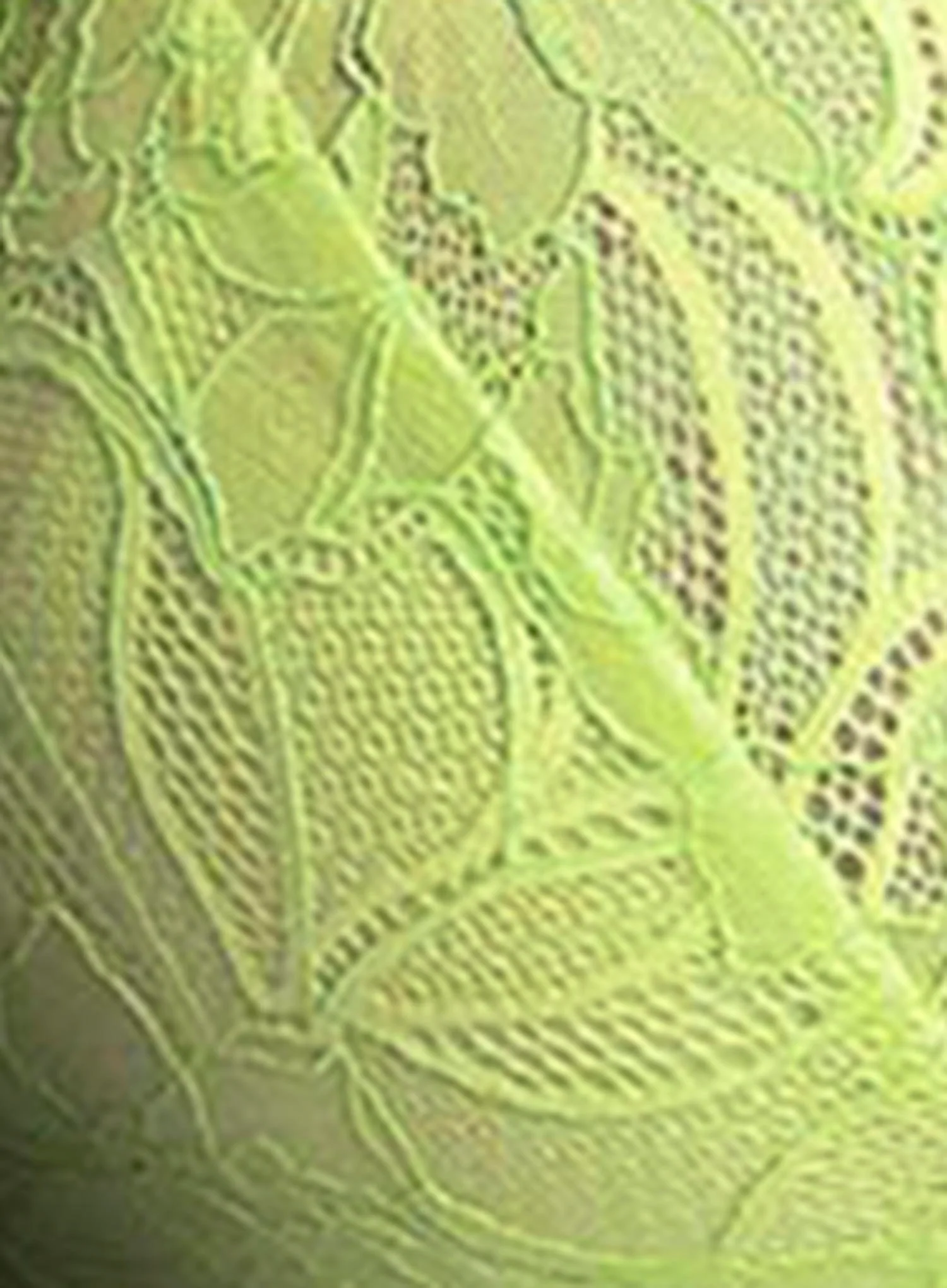 Panache: Cherie Brazilian Brief Neon Lime - Image 4