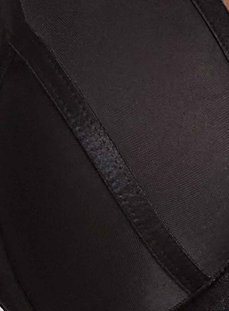 Panache: Tango Essence Plunge Bodysuit Obsidian - Image 4