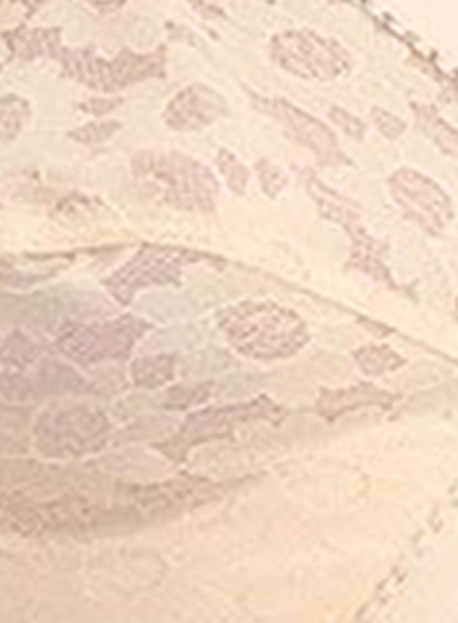 Playtex: Cross Your Heart Wire Free Bra Beige - Image 5