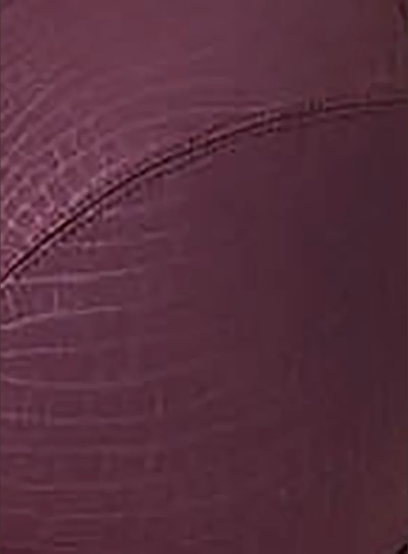 PrimaDonna Swim: Dalyan Rio Bikini Brief Wine - Image 5