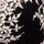Wacoal: Embrace Lace Soft Cup Bra Black - Image 4