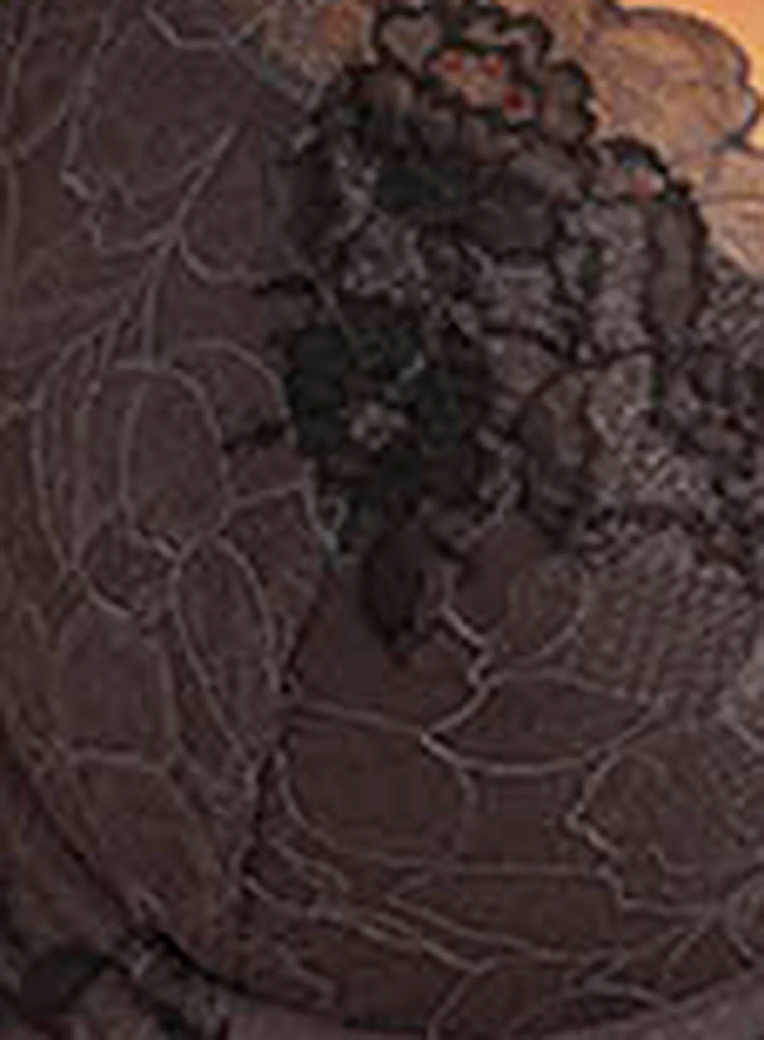 Wacoal: Lace Perfection Underwired Plunge Bra Charcoal - Image 4